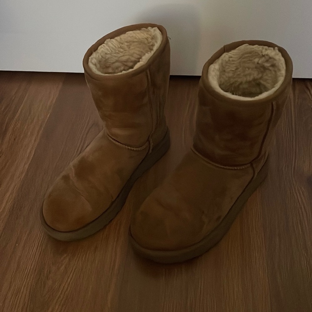 Chestnut Classic Uggs